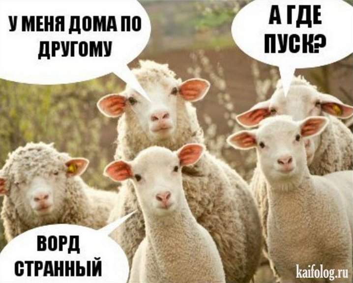 Adminы vs Бухгалтеры